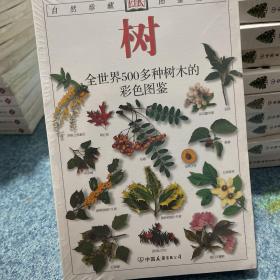 树：全世界500多种树木的彩色图鉴