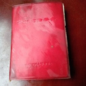 实用药物手册