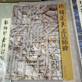 正楷名碑名帖导临：唐褚遂良孟法师碑