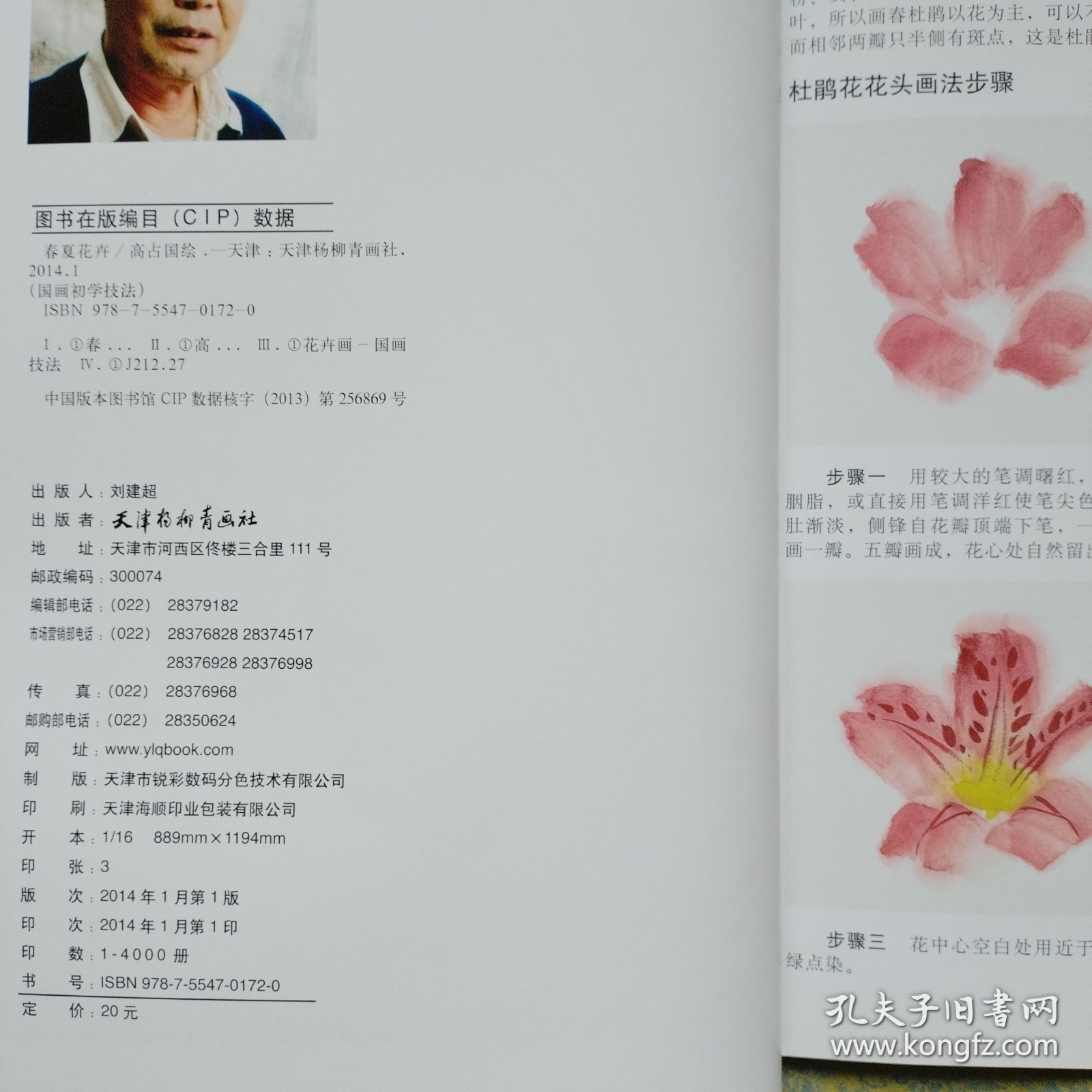 国画初学技法：春夏花卉