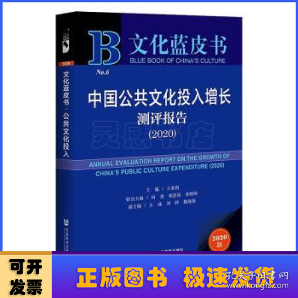 文化蓝皮书：中国公共文化投入增长测评报告（2020）