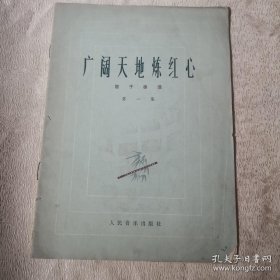 广阔天地炼红心（笛子曲选）第一集