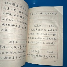 新编宋词三百首多体钢笔字帖
