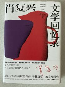肖复兴文学回忆录