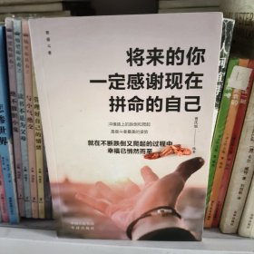 【正版·全５册】致奋斗者-你不努力谁也给不了你想要的生活+将来的你一定感谢现在拼命的自己+余生很贵，请勿浪费+别在吃苦的年纪选择安逸+你若不勇敢谁替你坚强