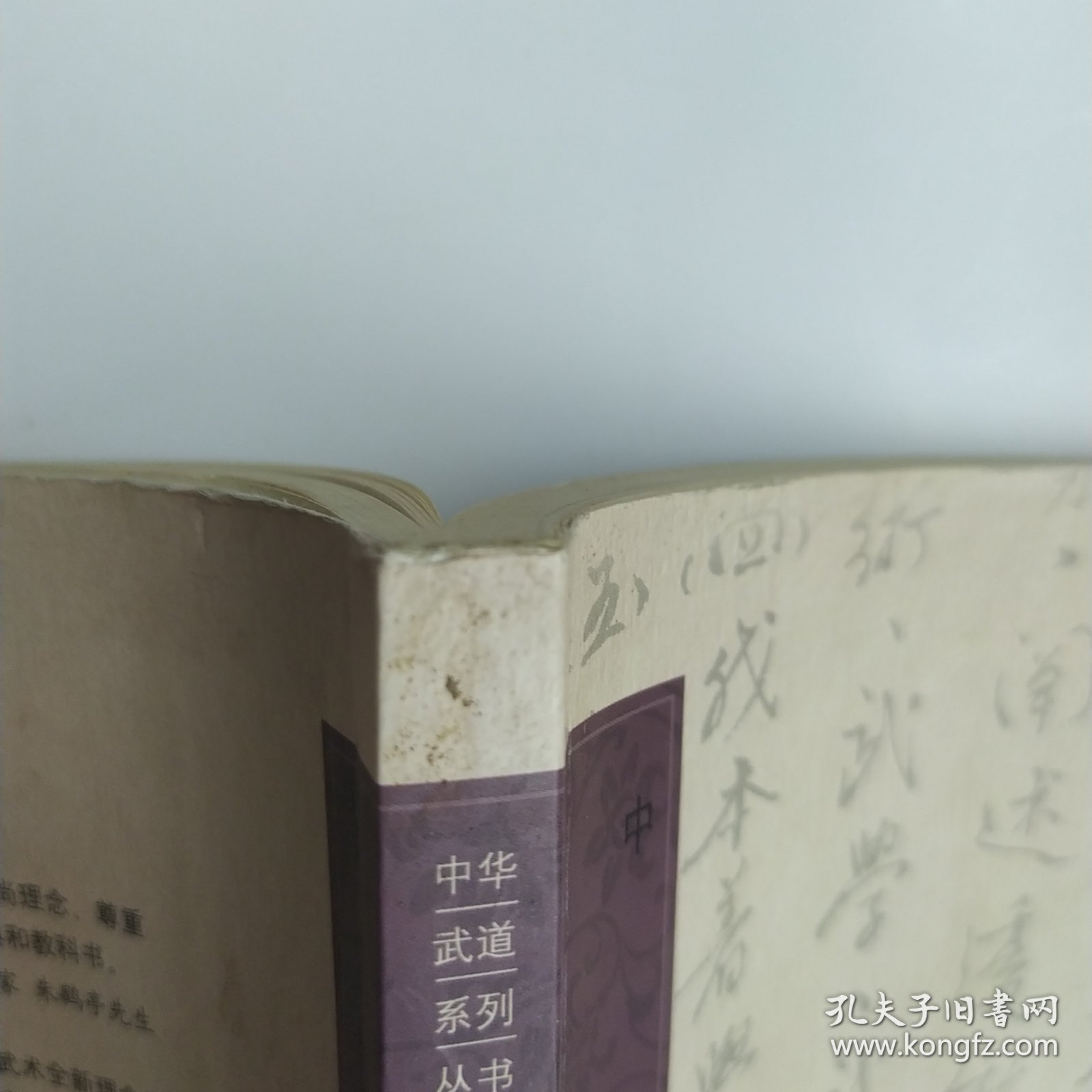 中华武道概论（8品16开前2页侧书口有撕裂破损2009年1版1印150页23万字中华武道系列丛书）325