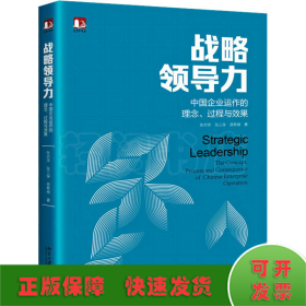 战略领导力：中国企业运作的理念、过程与效果