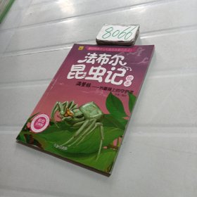 法布尔昆虫记绘本 满蟹蛛：岩蔷薇上的守护者（彩绘美图版）