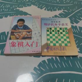 中国国际象棋：王兵残局实用技巧