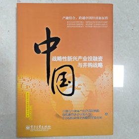 中国战略性新兴产业投融资与并购战略（全彩）