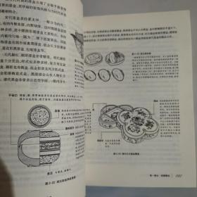 辨藏中国古代漆器：鉴赏与投资一版一印5000册