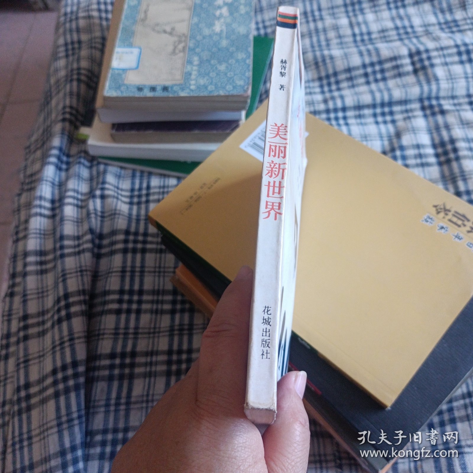美丽新世界