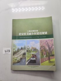 上海市顾村镇老安村美丽乡村建设规划