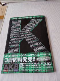 AKB48 VISUAL BOOK 2010 featuring team K