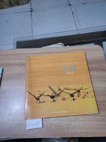天鹅：叶学龄生态摄影作品集