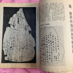 《书法丛刊》杂志，商·祭祀狩猎涂朱牛骨刻辞，宋·文勋摹《琅琊台刻石》（全，有释文），汉·刘熊碑（完全拓片），东汉《公羊传》砖（完整拓片，有题解），魏《三体石经尚书春秋》残石（1－9），西晋咸宁四年吕氏砖，北凉《优婆塞戒经》残片，北凉且渠安周造佛寺碑（完全拓片），宋拓怀仁集王书《圣教序》，宋拓《大观帖》卷七，黄庭坚书《明瓒诗后题》卷，文徵明文稿册，郑燮判词册，