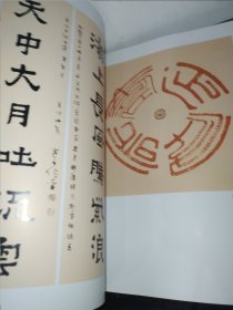 中国当代名家画集 道子张晋