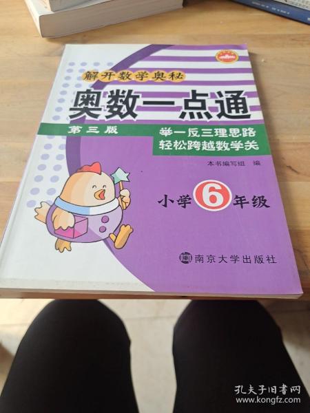 解开数学奥秘：奥数一点通（小学6年级）