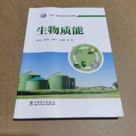 “十四五”普通高等学校本科规划教材：生物质能