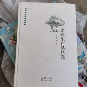 史铁生作品精选