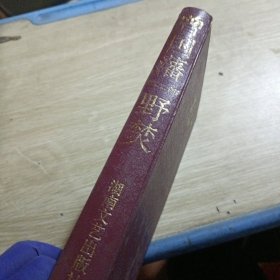 长篇历史小说《曾国藩》第二部野焚