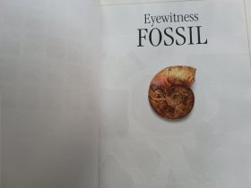 英文书 DK Eyewitness Books: Fossil by Paul Taylor (Author)