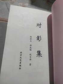 对影集