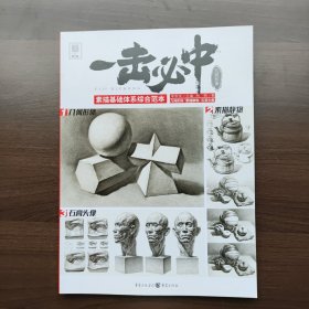 一击必中·几何形体 李家友主编 柯略著（正版库存）