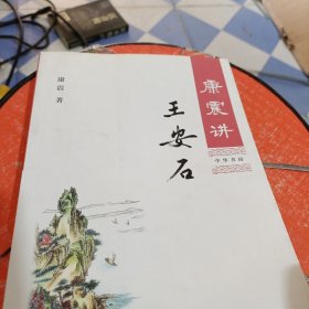 康震讲王安石