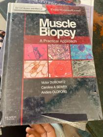 Muscle Biopsy.