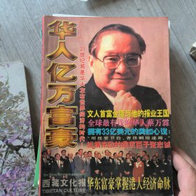 华人亿万富豪