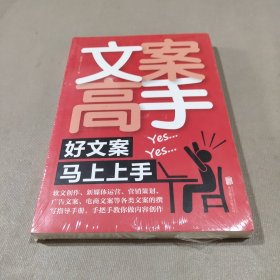 文案高手：好文案马上上手