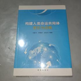 构建人类命运共同体：理论与战略