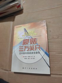 豪赌三万英尺：空中客车挑战波音霸权