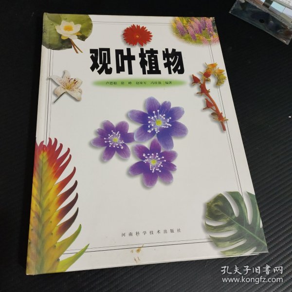 观叶植物（彩图版）