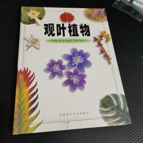 观叶植物（彩图版）