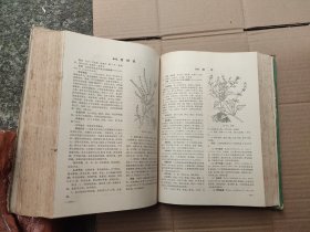 全国中草药汇编（上册）