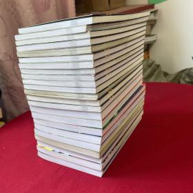 超级成长版 冒险小虎队7本+超级版冒险小虎队2本+冒险小虎队14本 共23本合售