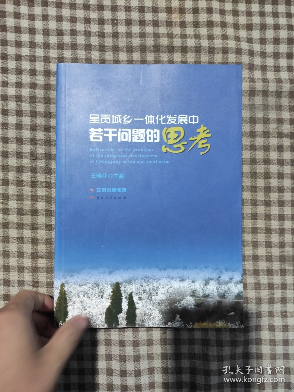 呈贡城乡一体化发展中若干问题的思考