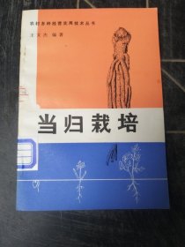 当归栽培