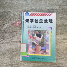 汉字信息处理