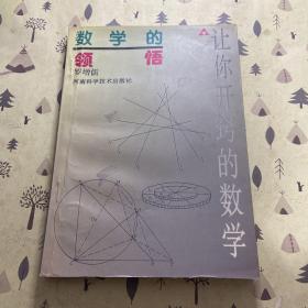 数学的领悟：让你开窍的数学