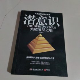 潜意识：突破阶层之墙