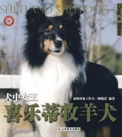 犬中女王——喜乐蒂牧羊犬 师晓蕾编著 9787533025045 山东美术出版社