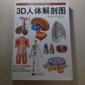 3D人体解剖图