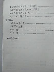 海内外音乐考级  （业余）琵琶1-9级