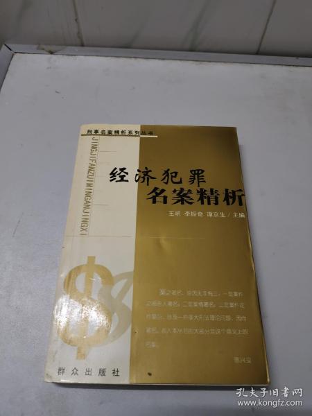 经济犯罪名案精析