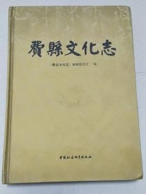 费县文化志（含 费邑艺文存）