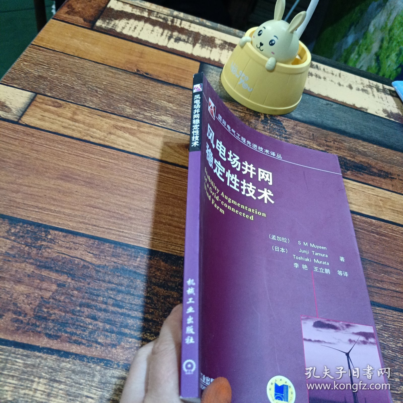 风电场并网稳定性技术