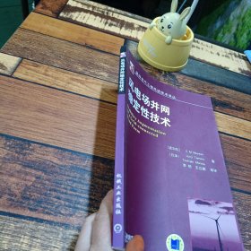 风电场并网稳定性技术